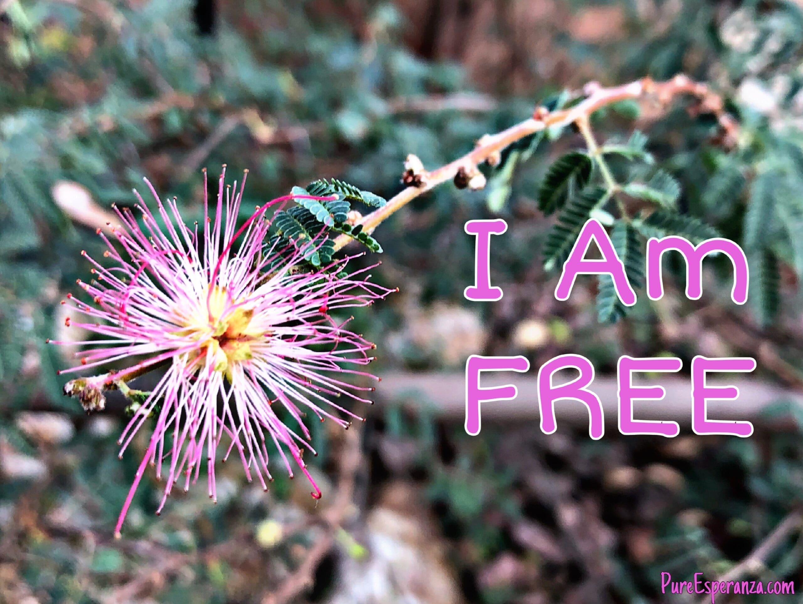 I Am Free